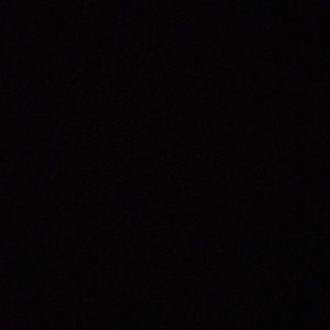 Meet your Posher, Anne